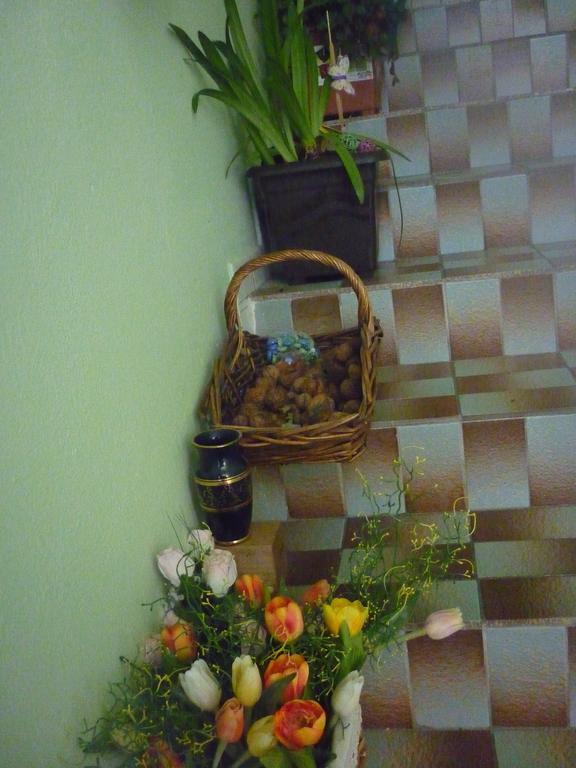 Milanna Apartamento Břeclav Exterior foto
